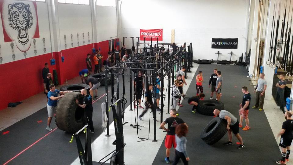 Crossfit Tigers Verona
